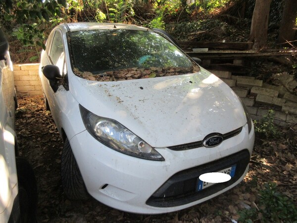 5#5503 Autovettura Ford in vendita - foto 13