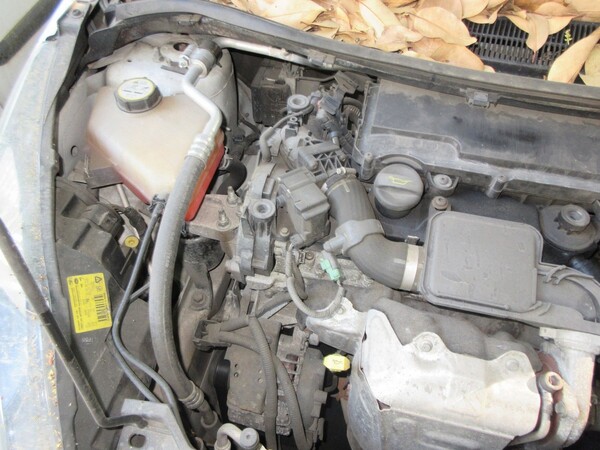 5#5503 Autovettura Ford in vendita - foto 14