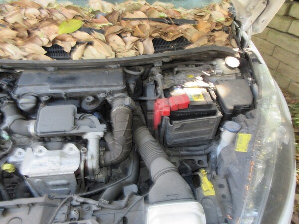 5#5503 Autovettura Ford in vendita - foto 15