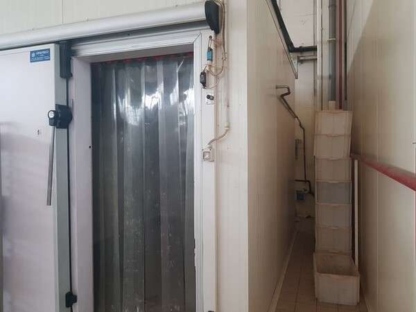 12#5522 Abbattitore Frascold in vendita - foto 2
