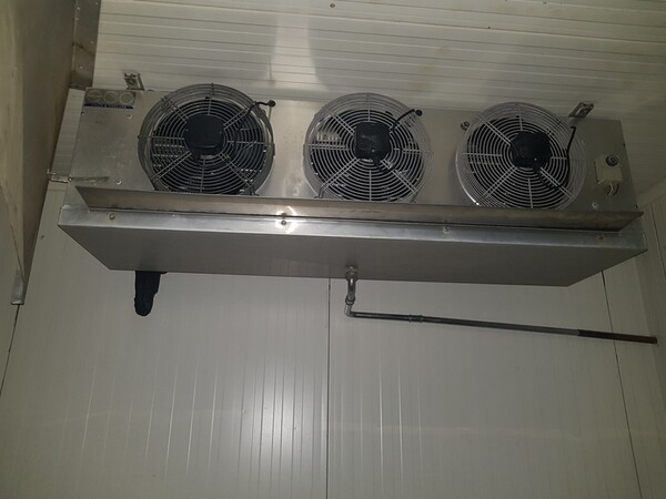 12#5522 Abbattitore Frascold in vendita - foto 5