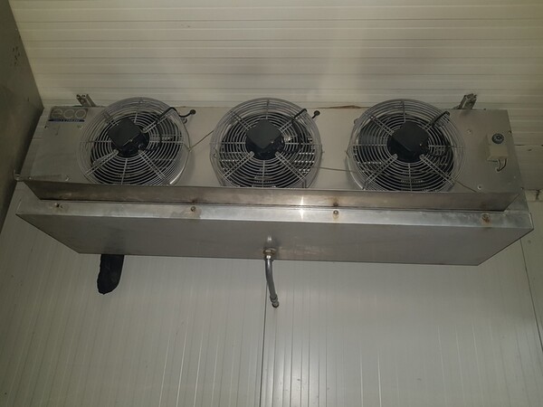 12#5522 Abbattitore Frascold in vendita - foto 6