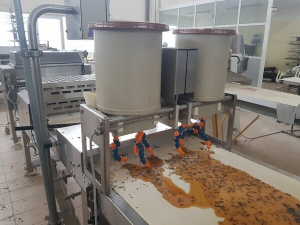 31#5522 Linea automatica Rondò in vendita - foto 5