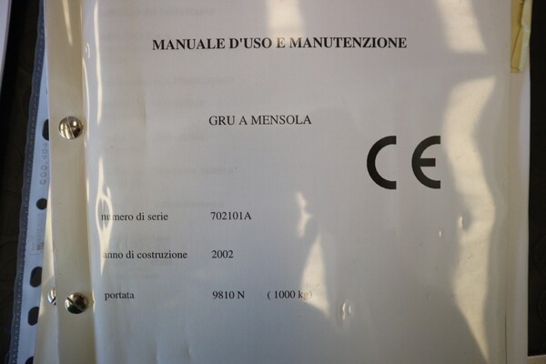 21#5528 Gru a bandiera Meloni in vendita - foto 3