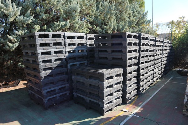 71#5528 Cestoni e pallet in plastica in vendita - foto 1