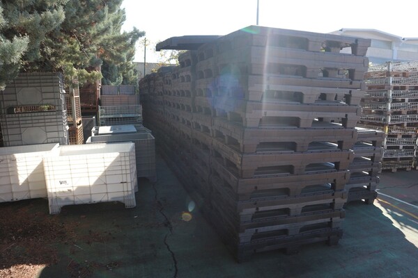 71#5528 Cestoni e pallet in plastica in vendita - foto 3