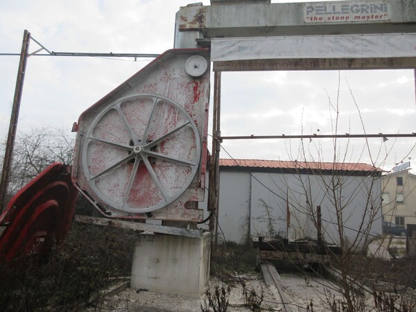 4#5539 Telaio monofilo Pellegrini in vendita - foto 2