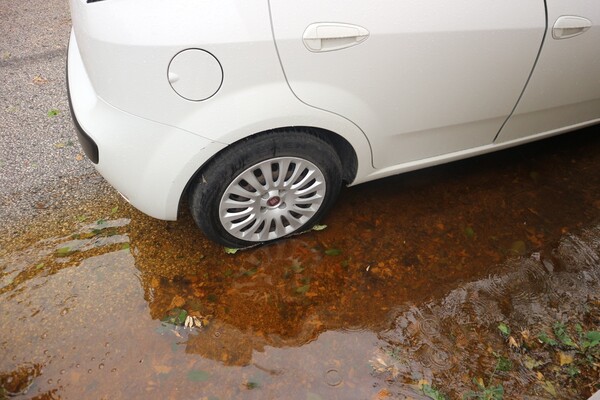 1#5547 Autocarro Fiat Punto in vendita - foto 2