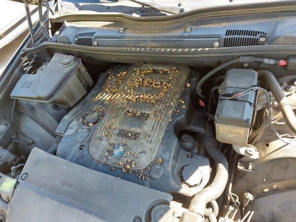 3#5548 Autocarro BMW X5 in vendita - foto 12
