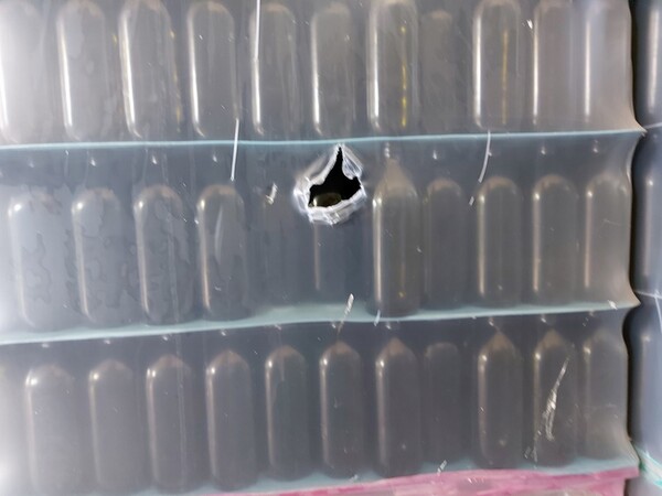 6#5548 Stock di bottiglie per olio in vendita - foto 6