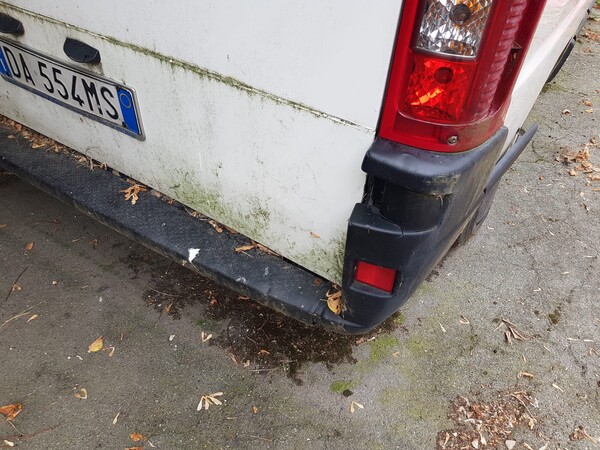 78#5580 Autocarro Fiat Ducato in vendita - foto 15