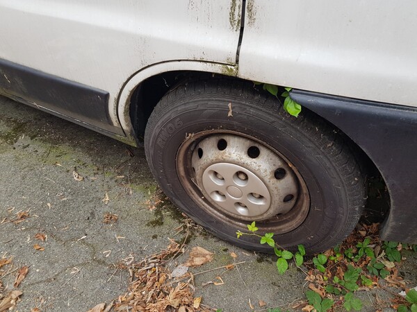 78#5580 Autocarro Fiat Ducato in vendita - foto 17