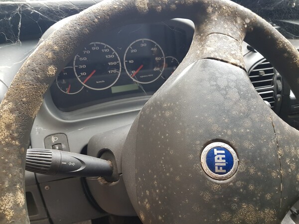 78#5580 Autocarro Fiat Ducato in vendita - foto 31