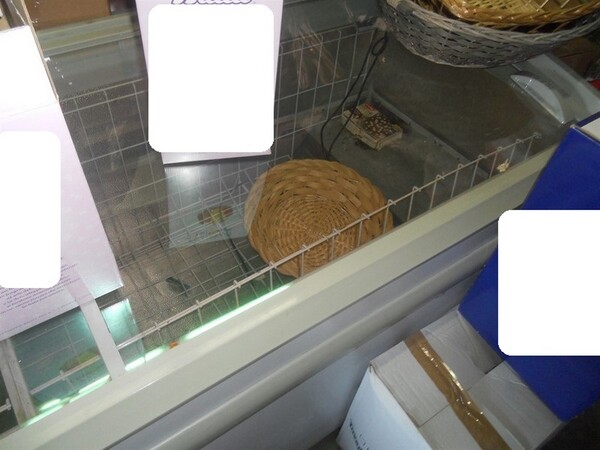 2#5602 Arredi ed attrezzature per supermercato in vendita - foto 133