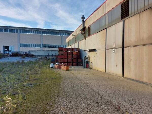 7#5619 Sfridi e ceste ferrose in vendita - foto 8