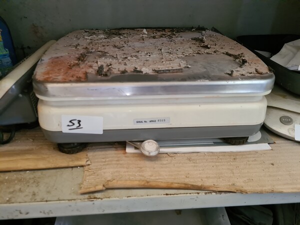 7#5695 Cisterna per gasolio Righetto e e sega Tonello in vendita - foto 6