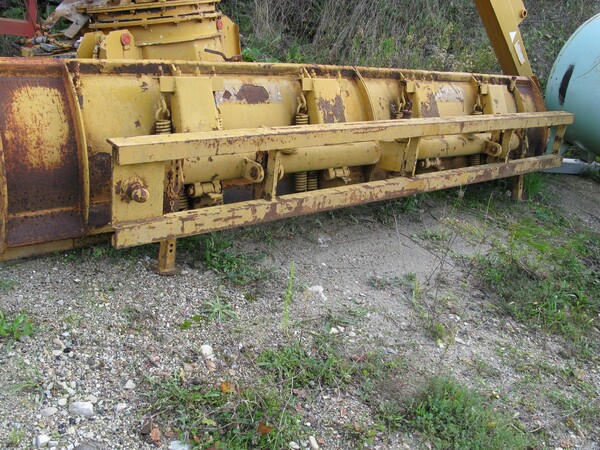 10#5713 Lama Bombelli in vendita - foto 2