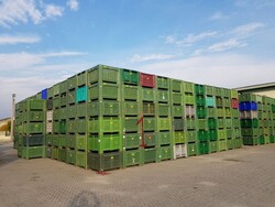 Bins for fruit and vegetables - Lot 101 (Auction 5715)