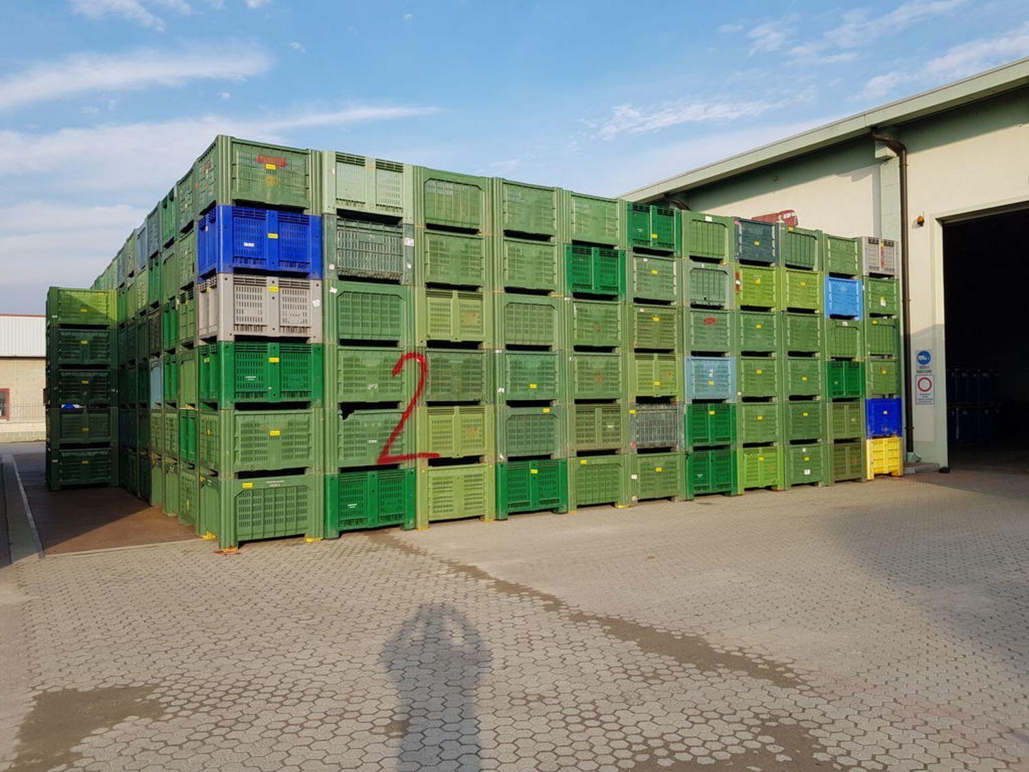 Lot Bins for fruit and vegetables
