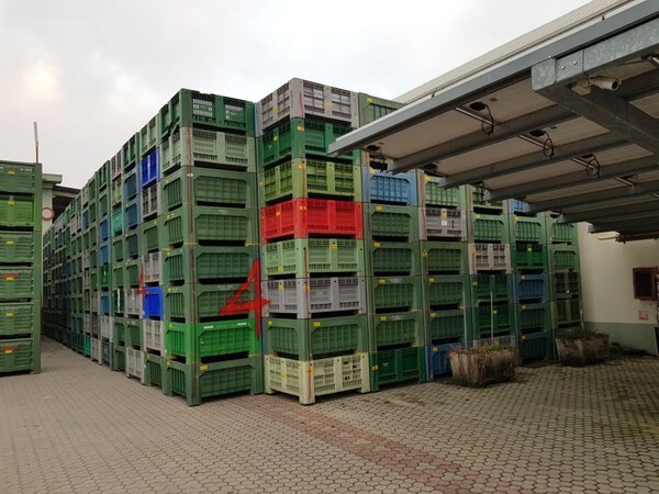 104#5715 Bins per frutta e verdura in vendita - foto 1