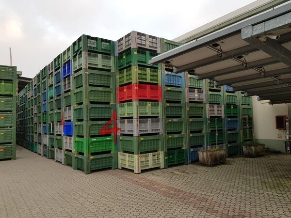 104#5715 Bins per frutta e verdura in vendita - foto 2