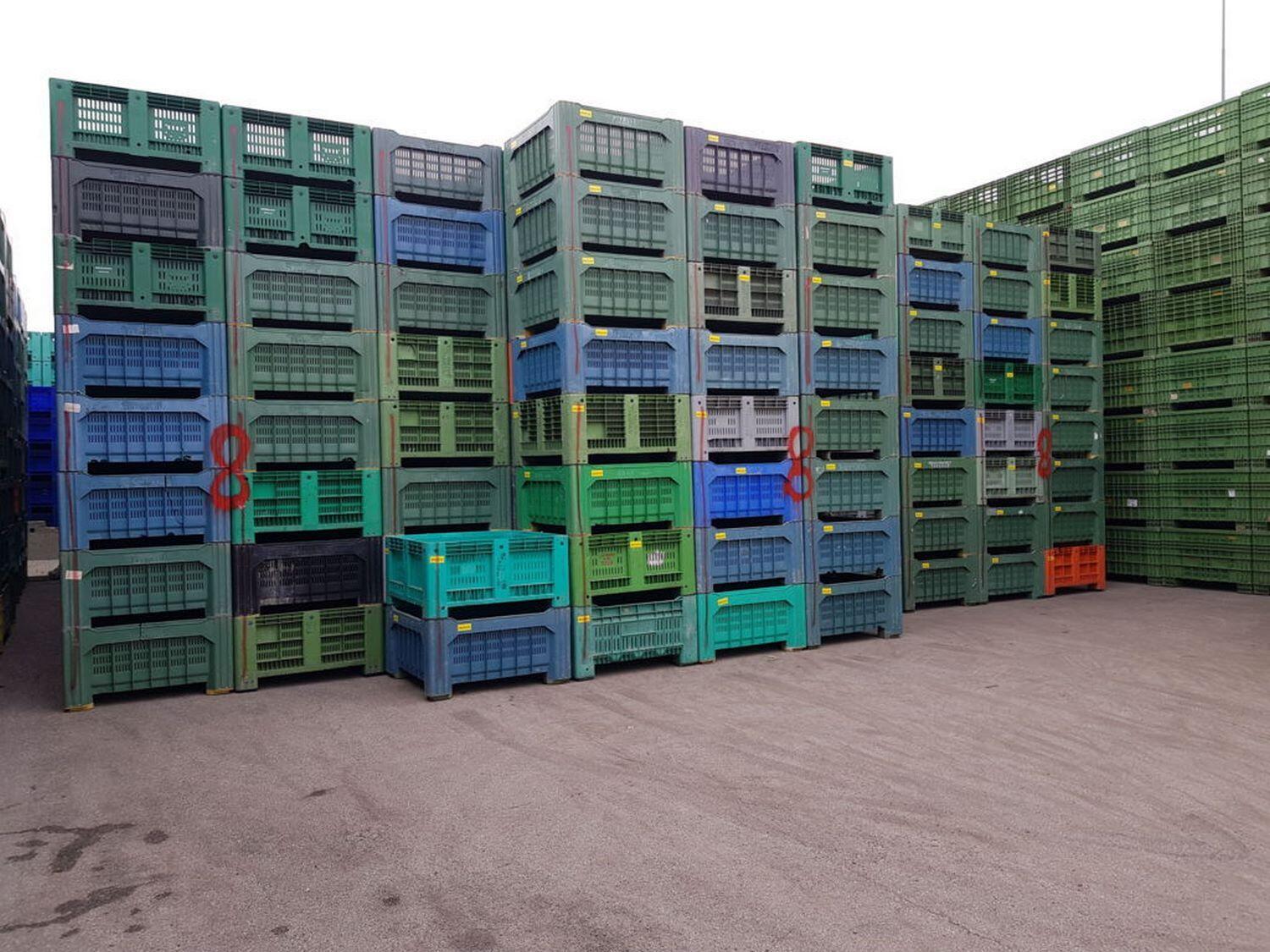 Lotto Bins per frutta e verdura