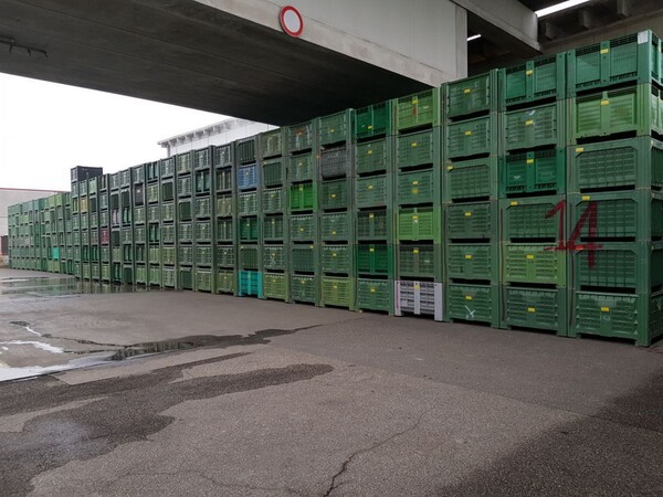 114#5715 Bins per frutta e verdura in vendita - foto 1