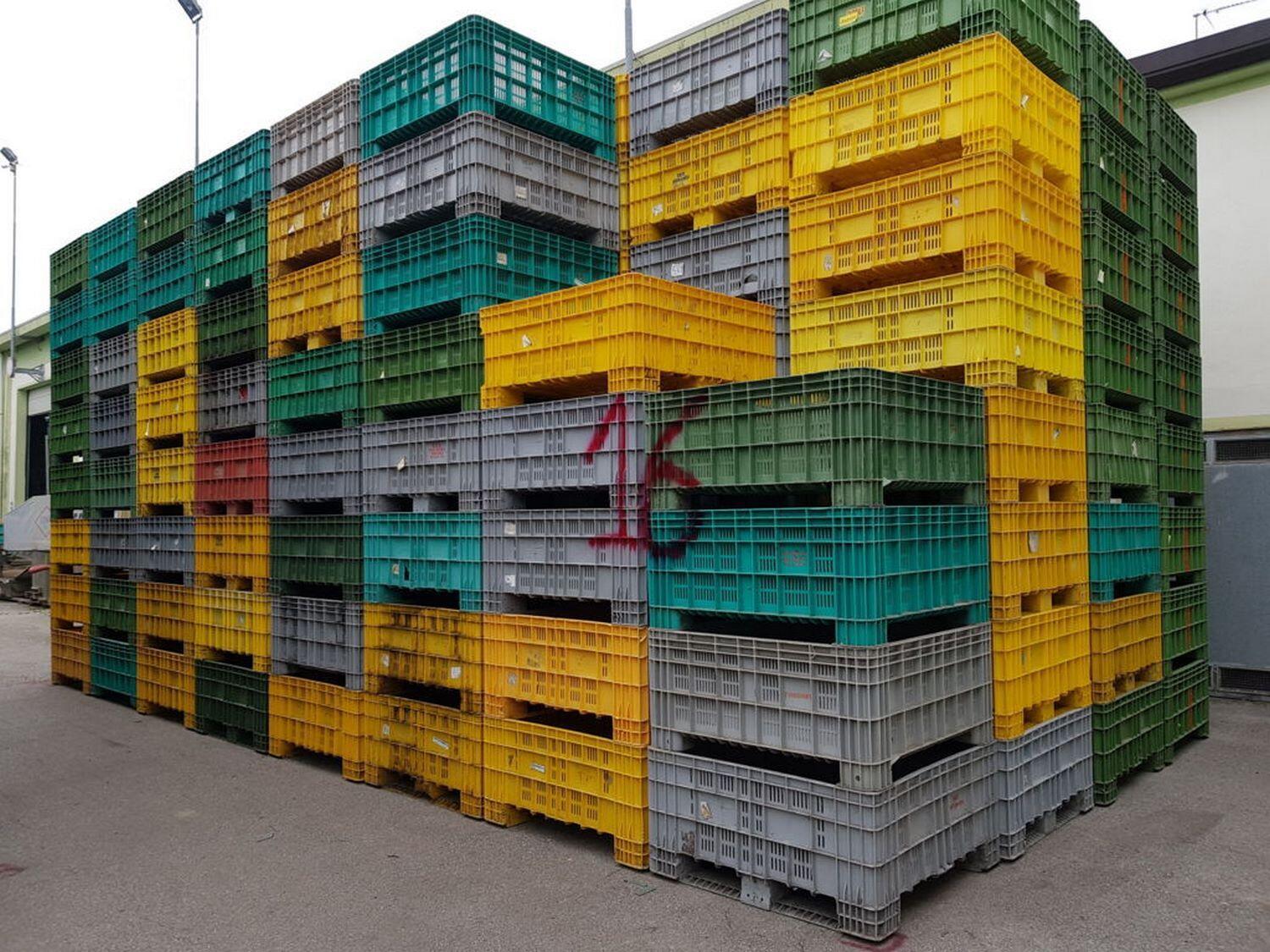 Lotto Bins per frutta e verdura