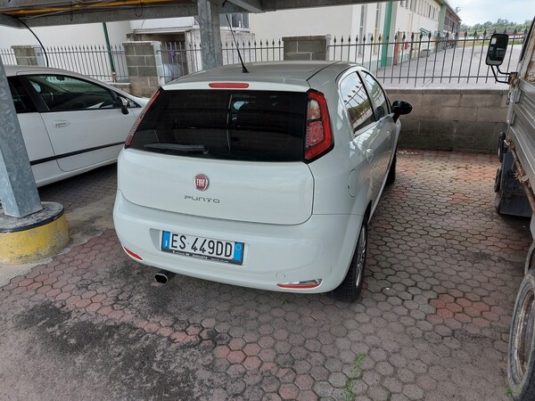 19#5715 Autovettura Fiat Punto in vendita - foto 3