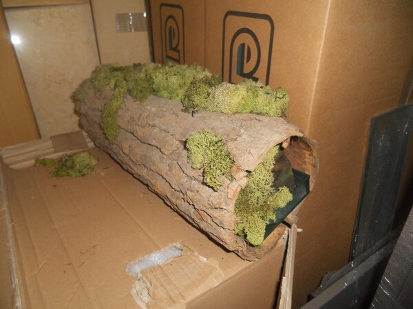 31#5782 Arredamento in vendita - foto 116