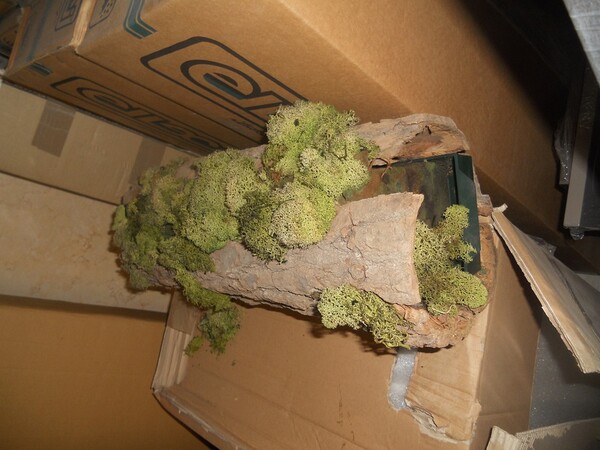 31#5782 Arredamento in vendita - foto 117