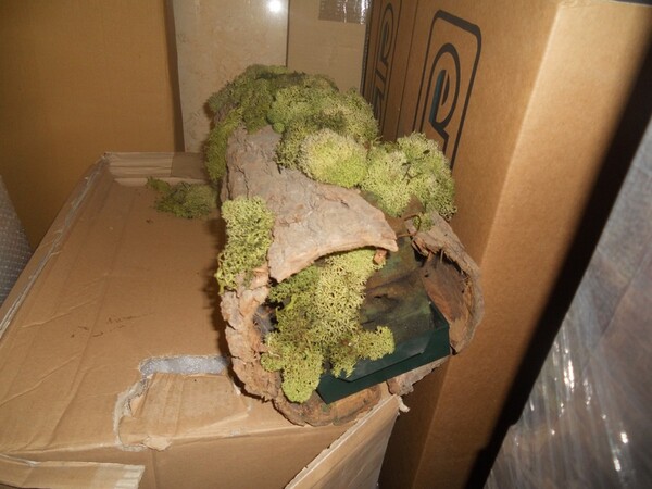 31#5782 Arredamento in vendita - foto 118