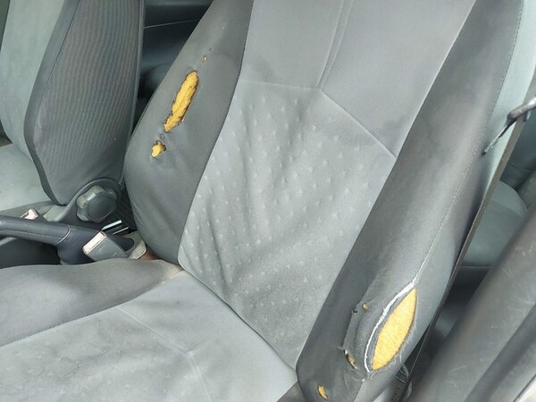 3#5804 Automobile Fiat Punto in vendita - foto 11