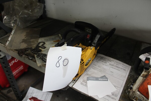 15#5817 Trattore Gilson Brothers e decespugliatore Axel in vendita - foto 44