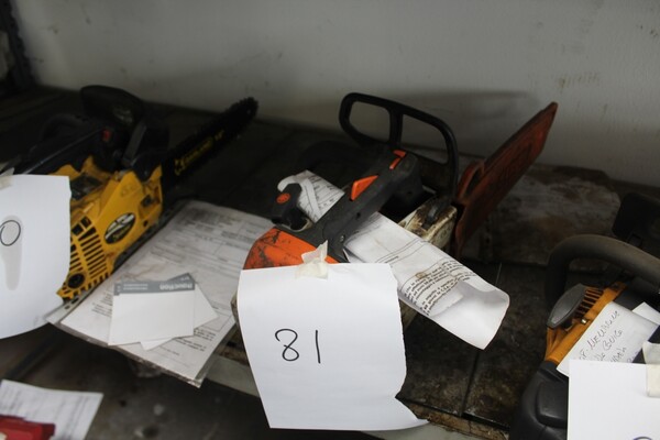 15#5817 Trattore Gilson Brothers e decespugliatore Axel in vendita - foto 46