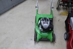 Image 2 - Ibea brush cutter and Viking lawn mower - Lot 40 (Auction 5817)