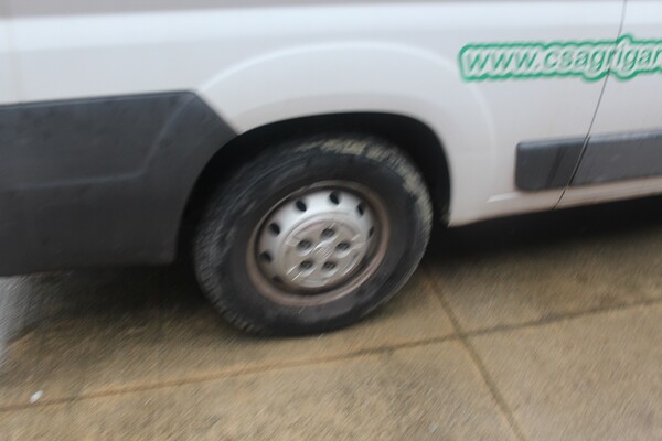 49#5817 Autocarro Fiat Iveco in vendita - foto 5