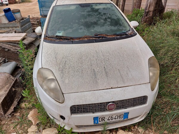 29#5859 Automobile Fiat Punto in vendita - foto 8