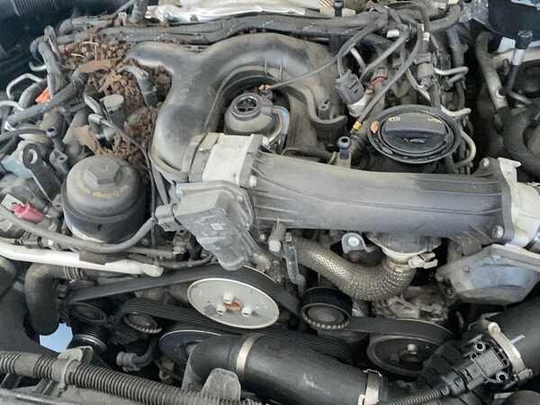 1#5904 Autovettura Touareg Volkswagen in vendita - foto 18
