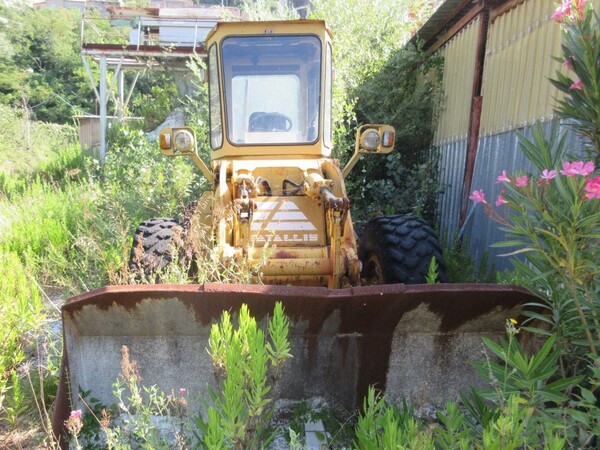 4#5938 Tagliablocchi Pedrini e lucidatrice per marmo in vendita - foto 13