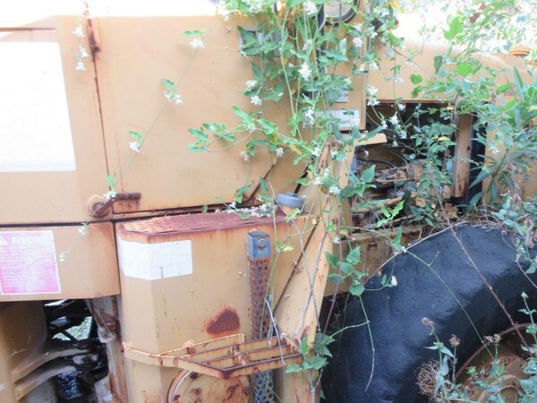 4#5938 Tagliablocchi Pedrini e lucidatrice per marmo in vendita - foto 17