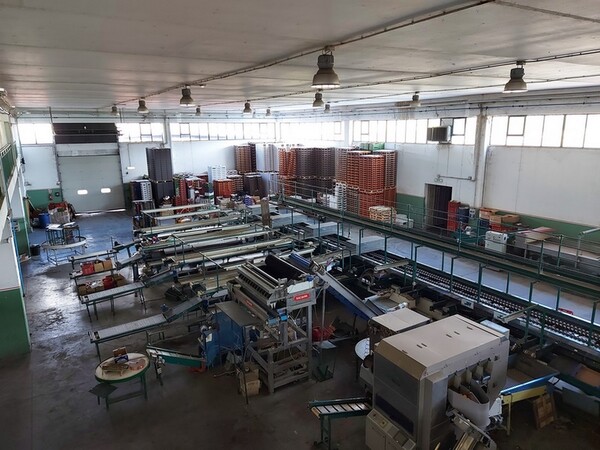 Agroalimentare in vendita