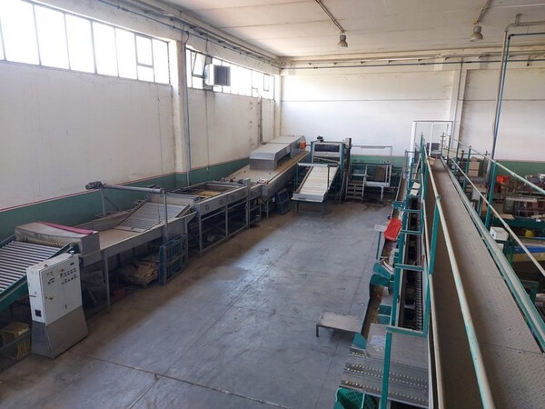 1#5991 Attrezzature per filiera in vendita - foto 3