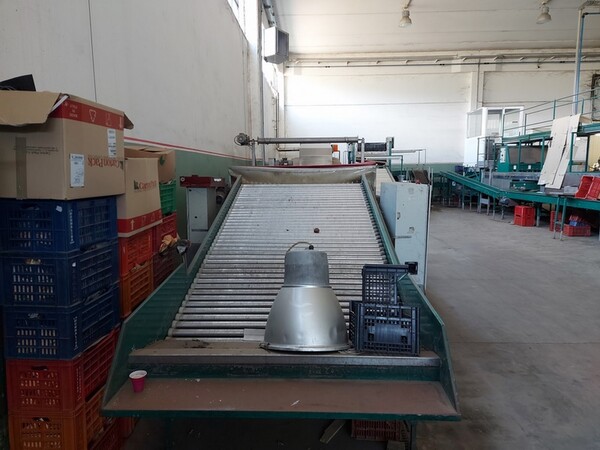 1#5991 Attrezzature per filiera in vendita - foto 7