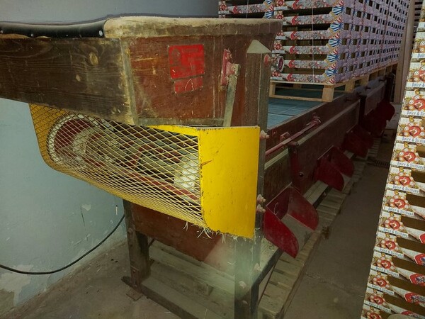 1#5991 Attrezzature per filiera in vendita - foto 155