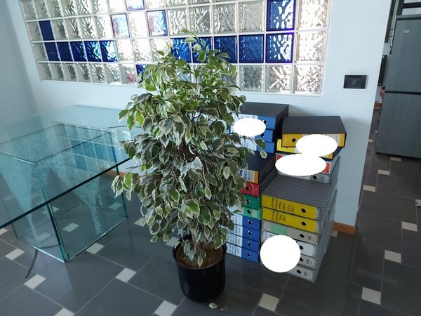 1#5998 Mobili per ufficio in vendita - foto 23