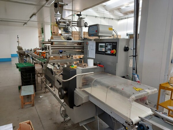 2#6010 Macchinari e attrezzature lavorazione prodotti ortofrutticoli in vendita - foto 9