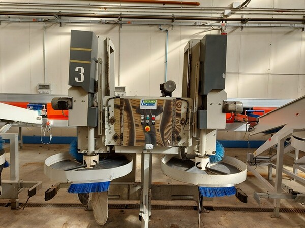 2#6010 Macchinari e attrezzature lavorazione prodotti ortofrutticoli in vendita - foto 17
