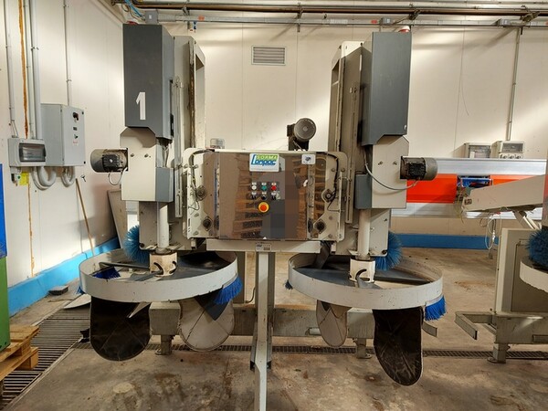 2#6010 Macchinari e attrezzature lavorazione prodotti ortofrutticoli in vendita - foto 18