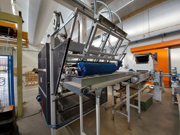 2#6010 Macchinari e attrezzature lavorazione prodotti ortofrutticoli in vendita - foto 20